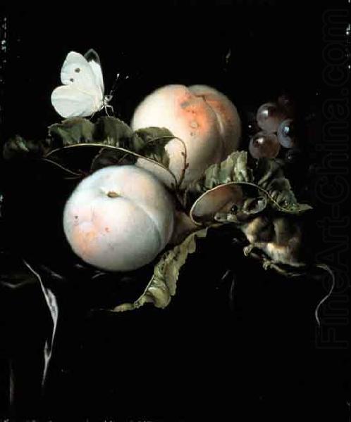 Fruit Still Life with a Mouse, Willem van Aelst